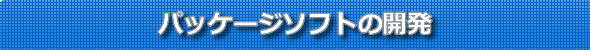パッケージソフトの開発