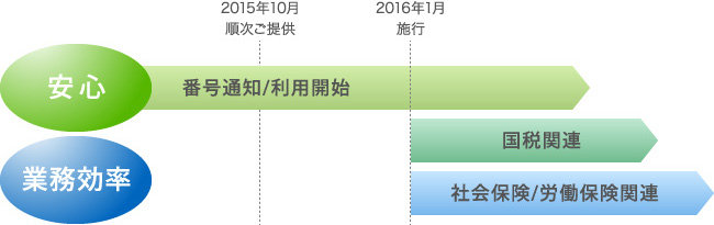 制度対応スケジュール