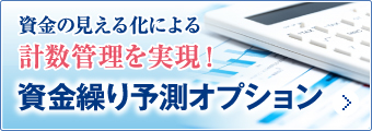 資金繰り予測オプション